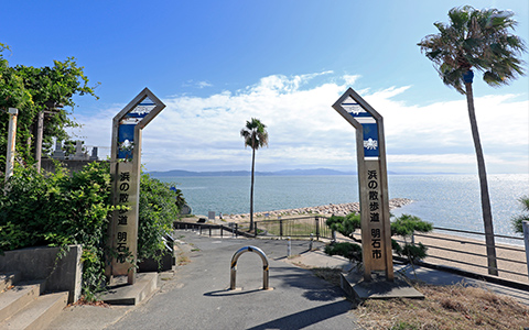 浜の散歩道