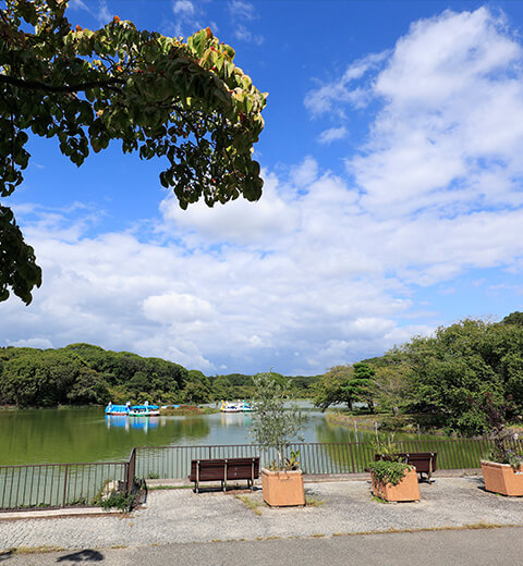 剛の池