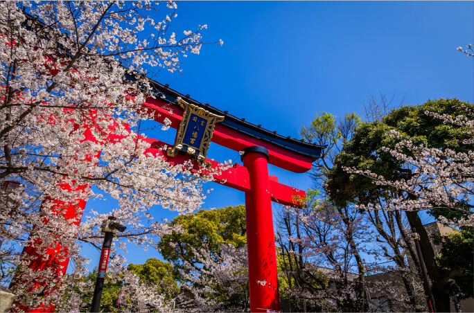 富岡八幡宮