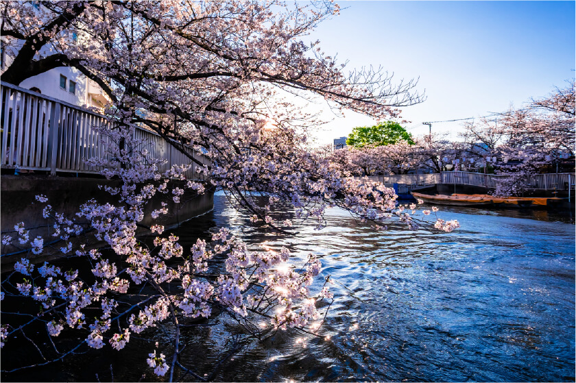 大横川