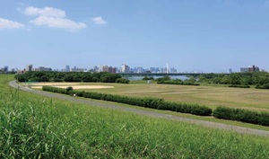淀川河川公園 外島地区