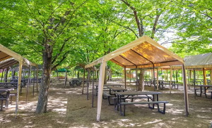 Good BBQ 長居公園