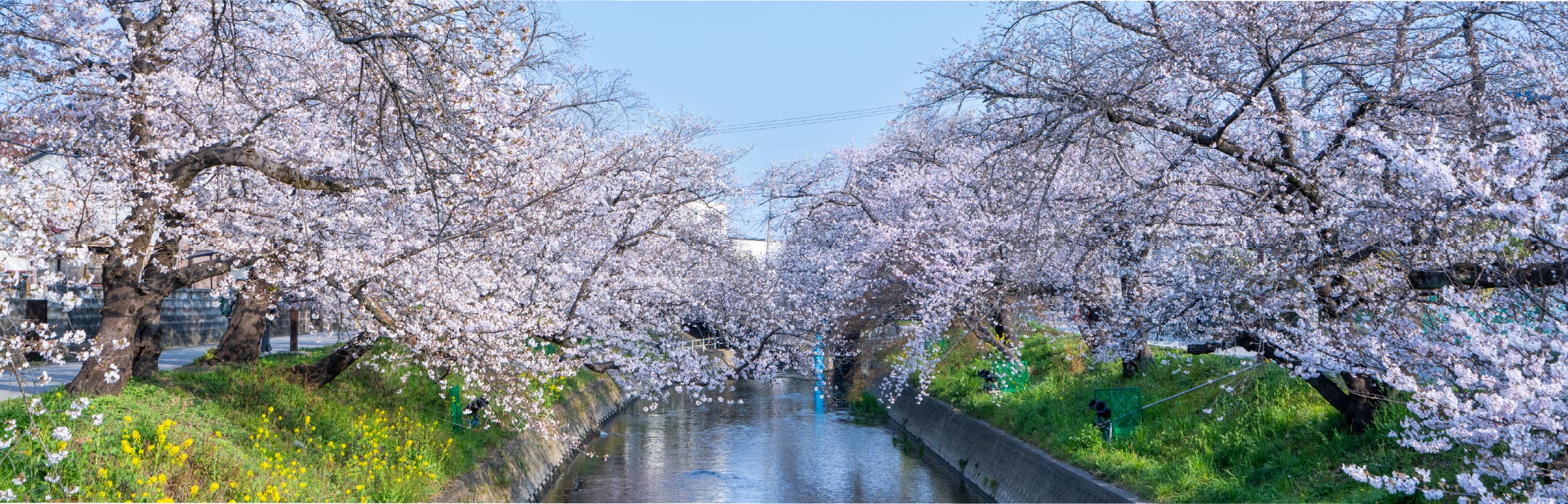 五条川