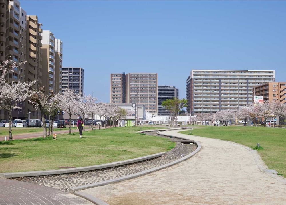 沖田中央公園