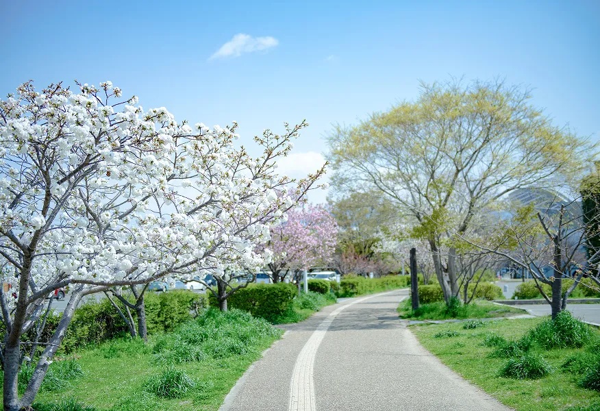 八戸の里公園