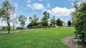 黄金森公園