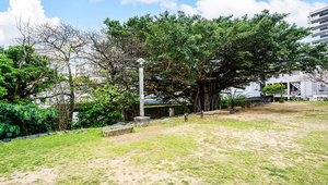 崇元寺公園