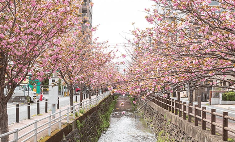 池町川