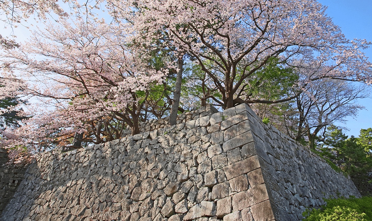 久留米城跡