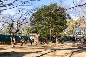 本太児童公園