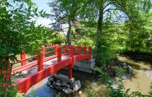 児ノ口公園