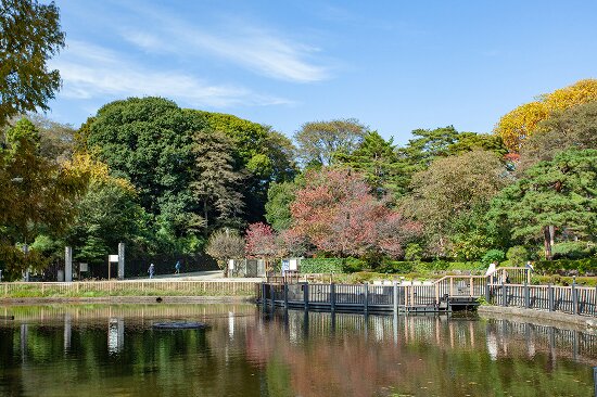 大宮公園