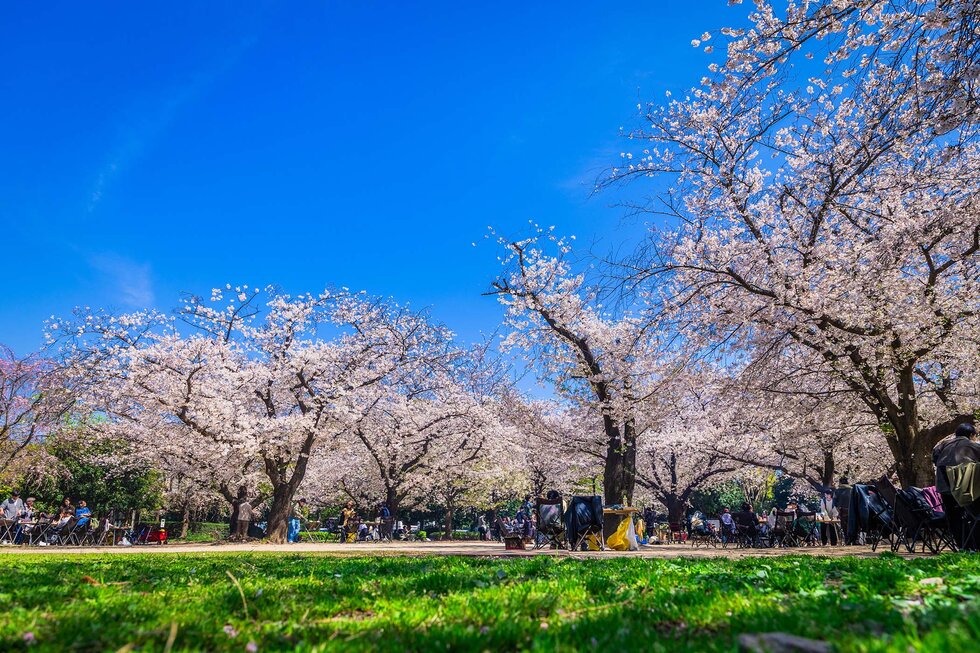 木場公園