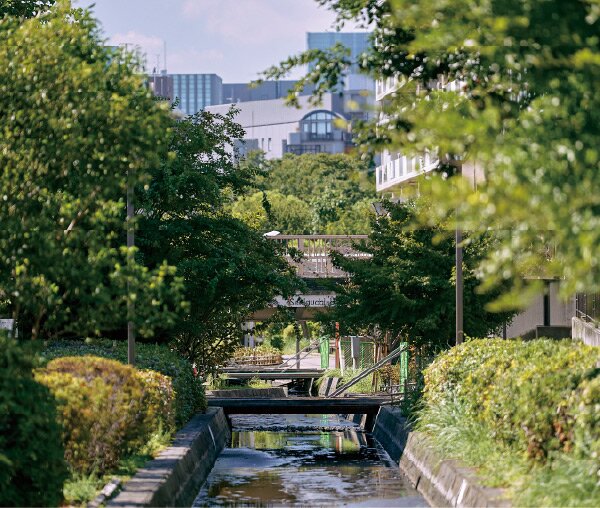 古石場川親水公園