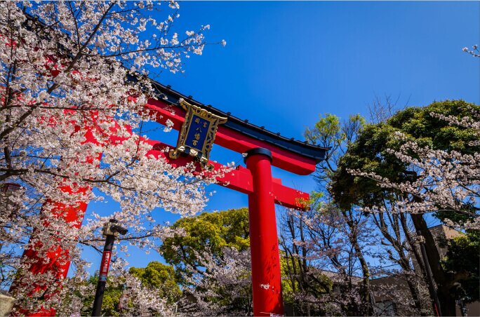 富岡八幡宮