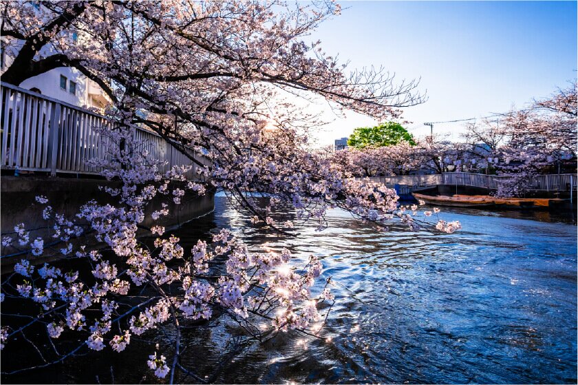 大横川
