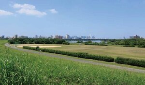 淀川河川公園 外島地区