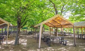 Good BBQ 長居公園
