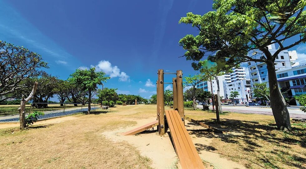 新都心公園