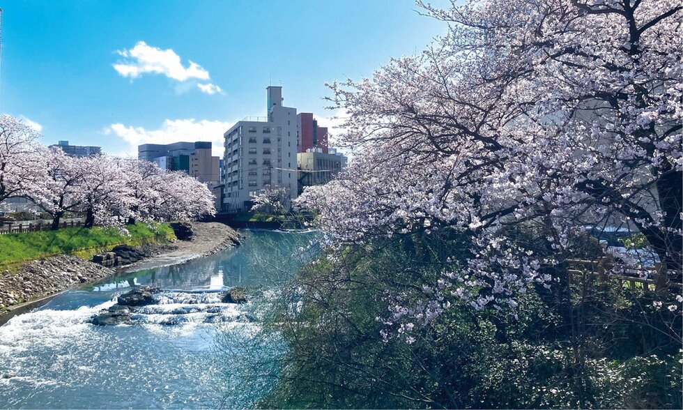 いたち川