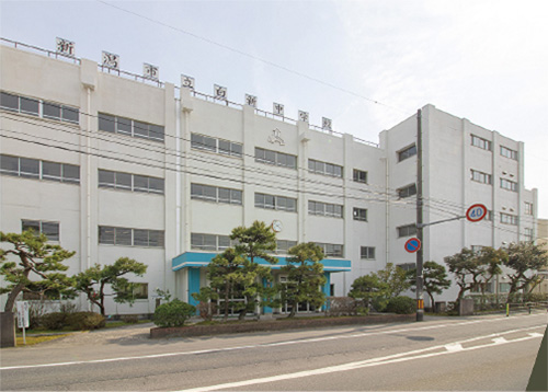 白新中学校