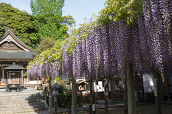 武蔵寺