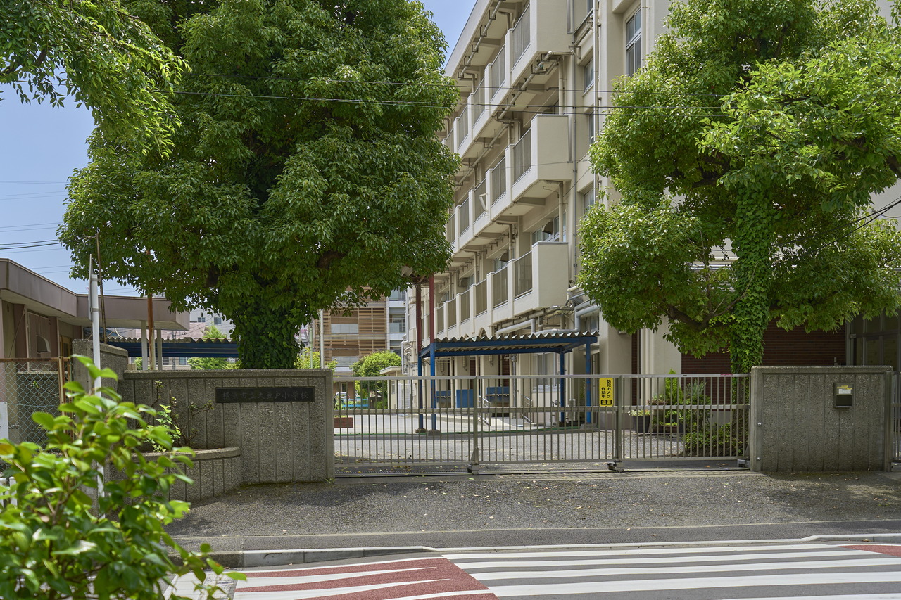 市立 大豆戸小学校
