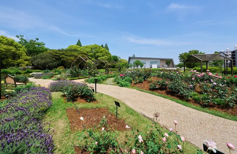 二ノ切池公園