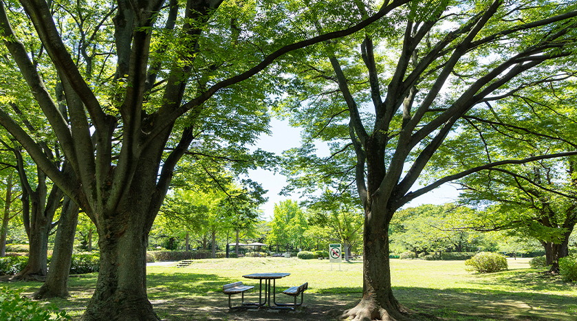 猿江恩賜公園