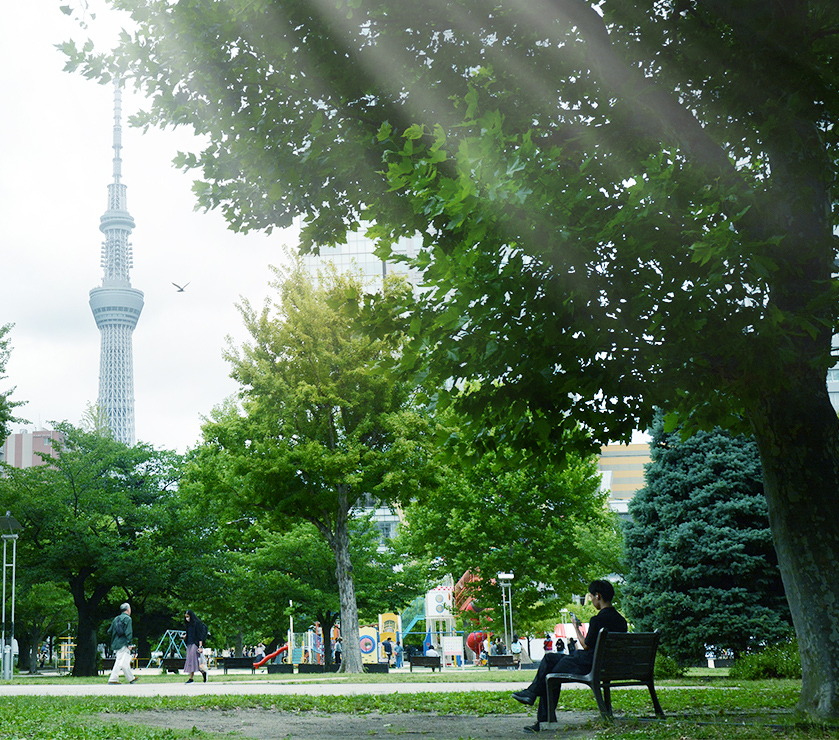 錦糸公園