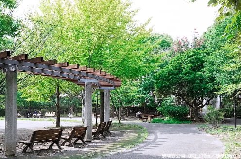 駒場野公園
