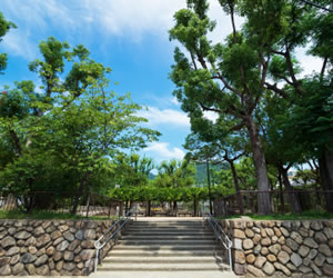 篠原公園