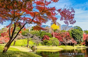 小石川後楽園
