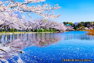 上野恩賜公園