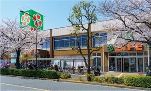 ライフ船堀店