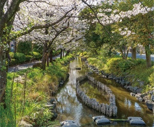 一之江境川親水公園