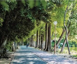別所沼公園