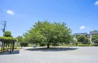 南台公園