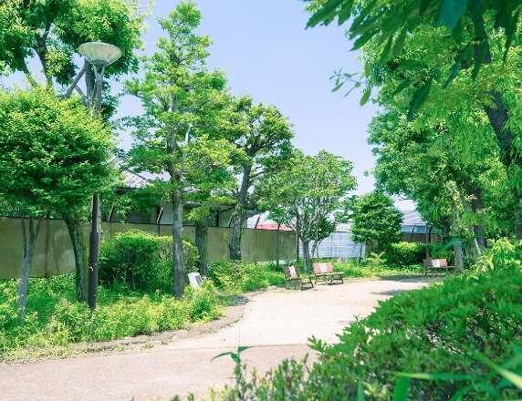 かしの木公園