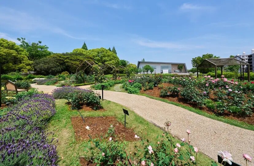 二ノ切池公園