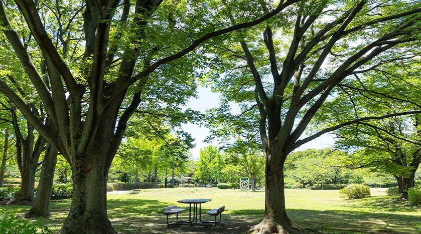 猿江恩賜公園