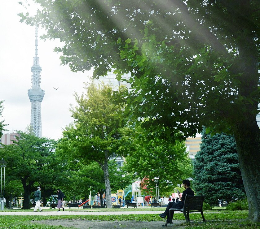 錦糸公園
