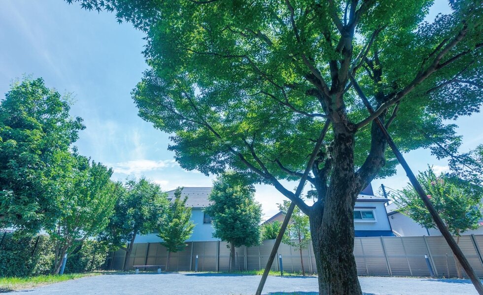 田無一丁目カエデの樹公園