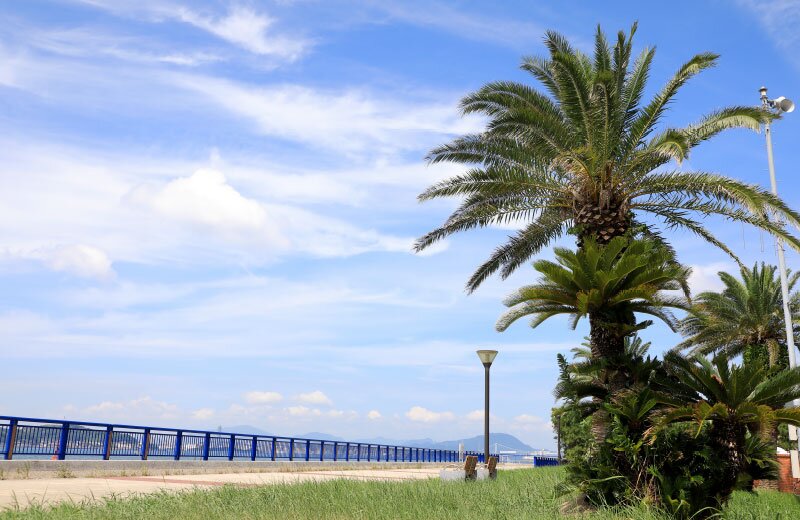 大里海岸緑地