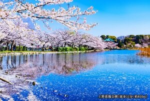 上野恩賜公園