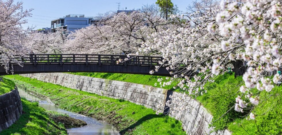 山崎川