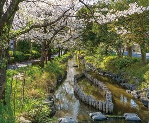 一之江境川親水公園