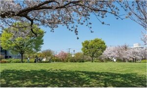 都立宇喜田公園