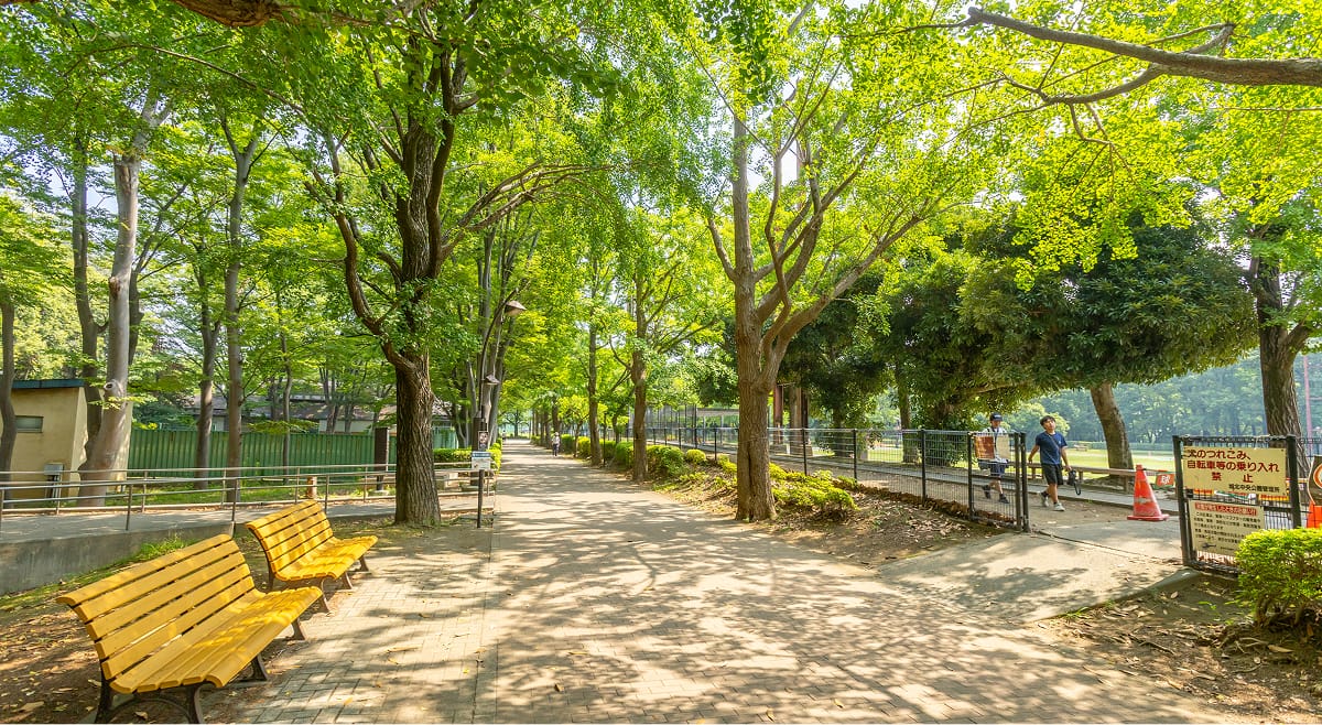 城北中央公園