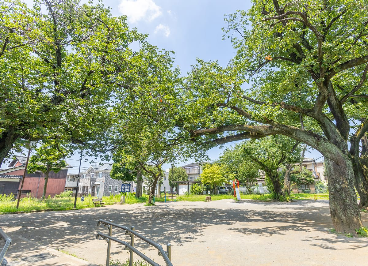 板橋区立向原公園